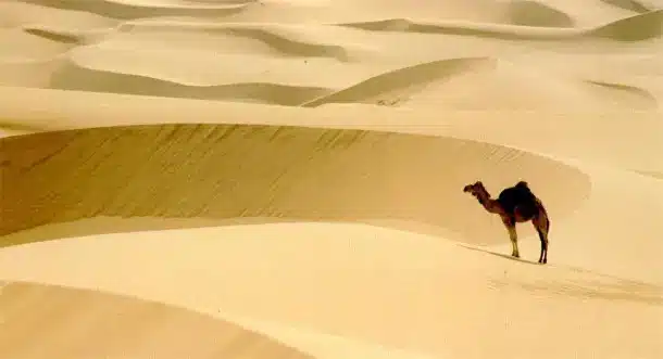 No water