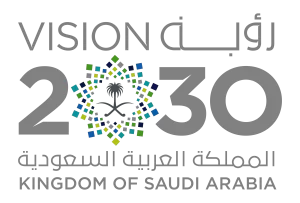 Regional Energy and Environment